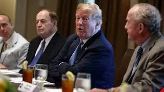 Trump responds to Supreme Court decision to uphold travel ban