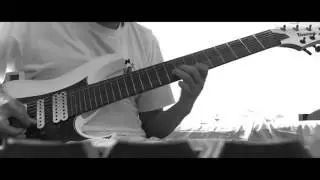 Animals as Leaders - Inner Assassins Outro Cover