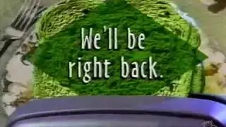 YTV Green Toast Ident 1993