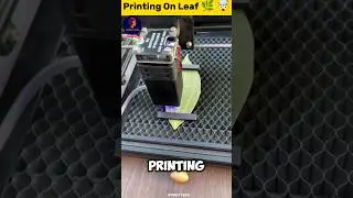 Printing On Leaf 🌿🤯 #shorts #facts #youtubeshorts