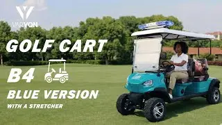 B4 Blue Model with Stretcher