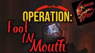 OP: Foot In Mouth - declassified -