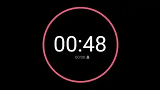48 Second Countdown Timer / iPhone Timer Style