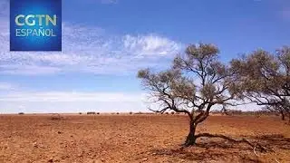 D&iacute;a Mundial de la Lucha contra la Desertificaci&oacute;n y la Sequ&iacute;a