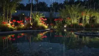 Soothing Piano Melody with Rain Accompaniment for a Sound Sleep