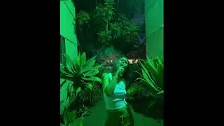 Bad Bunny x Dei V x Omar Courtz Type beat - &ldquo;PERREO 360&rdquo; 🌙