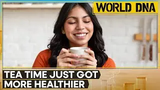 Stepping Up Your Tea Game Could Help Reduce Metal Exposure | World News | WION