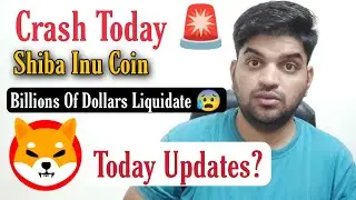 Shiba Inu Coin Crash Today 🚨 | Shiba Inu Coin News Today | CryptoPattiee