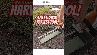 DIY Flower Harvester with Cutting Tool
