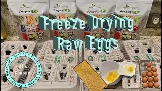 Freeze Drying Eggs
