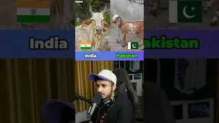 India or Pakistan &ndash; Which One Do You Choose? 🔥🇮🇳🇵🇰
