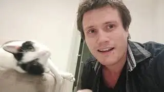 Chris Delforce - Happy Vegan Day! - Vegan Festival Adelaide