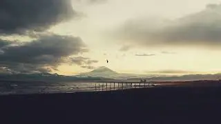 Lycoriscoris - Organic House / Electronica - Early Summer Mix