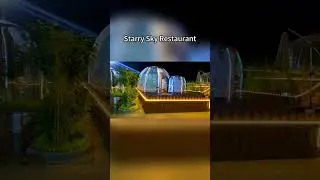Starry sky restaurant #star #restaurant #diningroomdesigns #starrysky #restaurantstyle #durablerugs