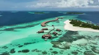 Paradise Found: Exploring Como Cocoa Island in the Maldives