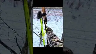 hunting whitetail deer at close range with bow #bucks #archery #bowhunting #whitetailhunting #bow