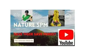 #Save Tiger & Save Forest - It is a Flesh -Eating animals. It hunts other animals for food.💐🙏🙏🙏