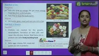 BRAIN ROOT SCIENCE SPARK CLASS 4 CHAPTER 1 NUTRITION AND FOOD