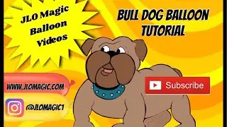 🔴 LIVE - BULL DOG TUTORIAL (2020)