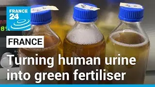 Recycling human urine: French start-up hopes to kick-start green farming revolution &bull; FRANCE 24