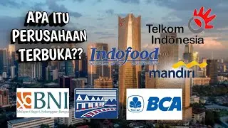 APA ITU PERUSAHAAN TERBUKA (TBK)??