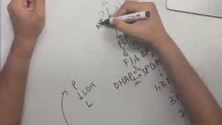 Glycolysis & PDH Complex