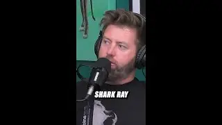 Форрест хочет найти ЭТО вымершее животное вместе с Джереми Уэйдом! 🦈🎣 #ExtinctorAlive #Extinct #A...