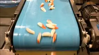 Fish-Surimi