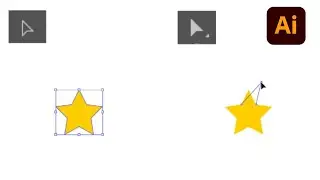 Difference between selection tool and direct selection tool || Adobe illustrator