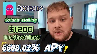 Stake NOBODY Coin &ndash; Make 6608.02% APY in Nobody Sausage Crypto Today