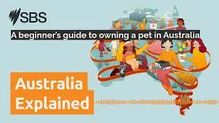 A beginner&rsquo;s guide to owning a pet in Australia | Australia Explained