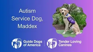 Maddex the Autism Service Dog Interview