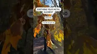 Soothing Your Metal Element