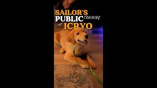 Sailor's Training At ICYRO