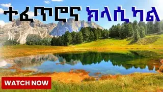 Non Stop Ethiopian Classical Music | The best Ethiopian Instrumental Classical Music ክላሲካል-2025 |ሀበሻ
