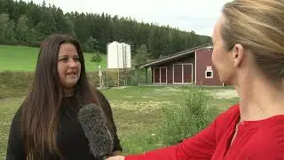 Steirische Landwirtschaft: Bioh&uuml;hnermast