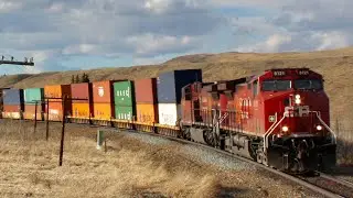 HUGE TRAIN!!!! CP 8121, CP 9722, CP 8889 & CP 9755 lead CP 100 east near Cochrane, Alberta