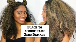 Going from Black to Blonde Hair with ZERO DAMAGE