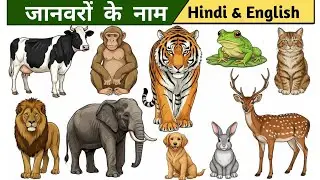 10 जानवरों के नाम | Animals Name in Hindi | Kids Learning Video