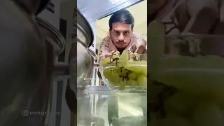 Meethe Angoor 😅 | #shorts | Rahul Sinha | Thethar Puns