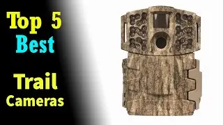 Top 5 Best Trail Cameras 2021