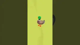 ankka