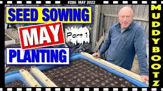 🌻286 🌻 WHAT SEEDS TO SOW IN MAY 🌻 EASY TO GROW VEG 🌻