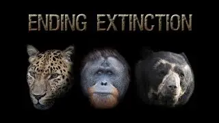 Ending Extinction