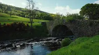 The Sheddings - Ireland's Newest Wedding Venue