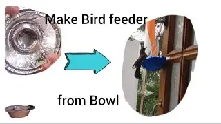 Want to feed bird watch this #bird #diy #craft #nature