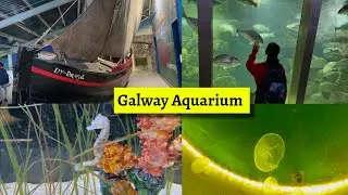 Visiting Galway Aquarium