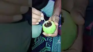 shisha#chilem#smoke trick#funny video