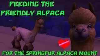WoW BfA 8.3 - Feeding the Friendly Alpaca for the Springfur Alpaca mount