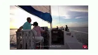 Cetacean Audio